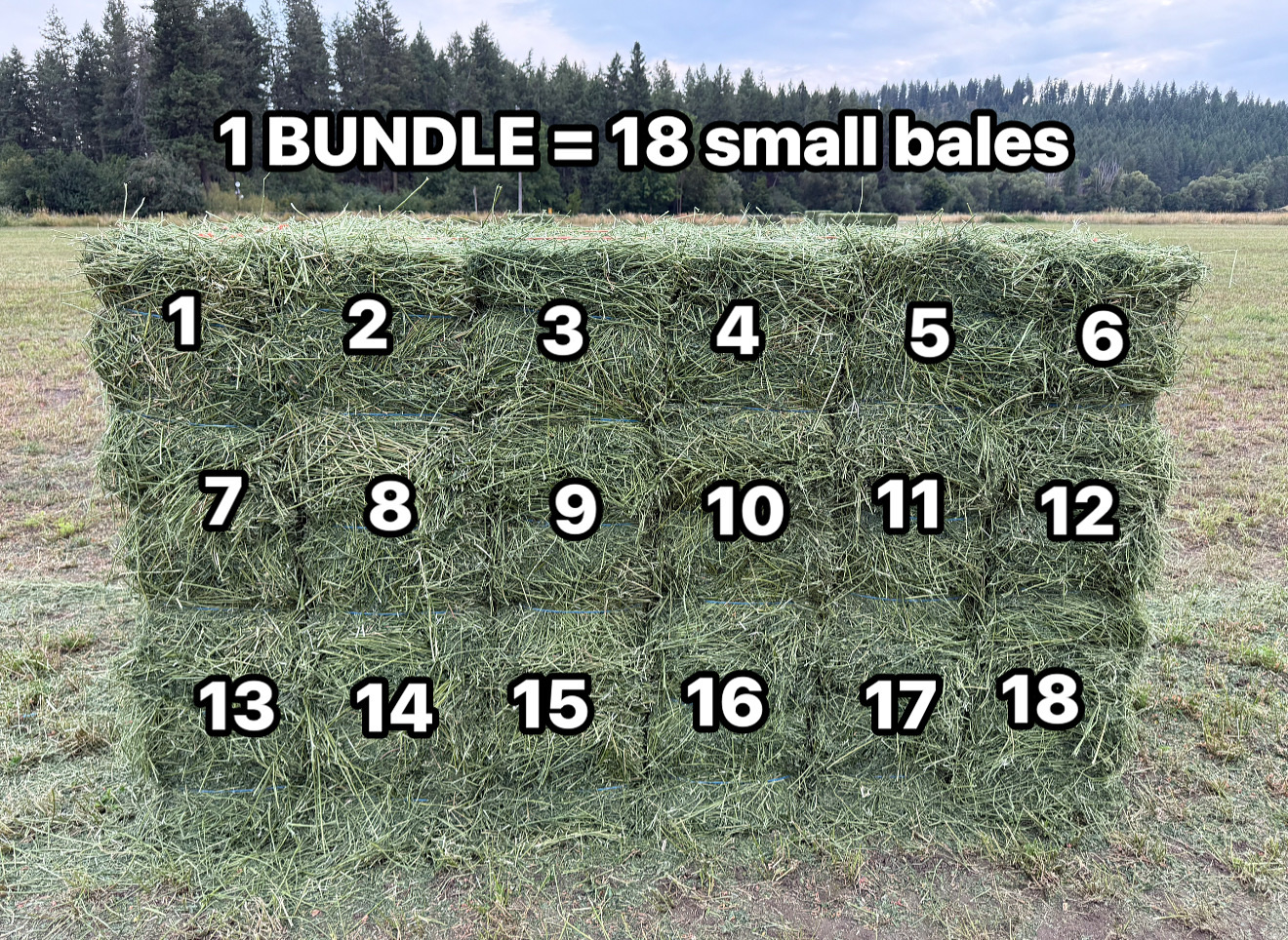 How Many Bales Per Acre Alfalfa